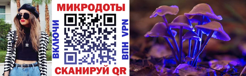 кракен как зайти  Удомля  Псилоцибиновые грибы мицелий  купить наркотики сайты 
